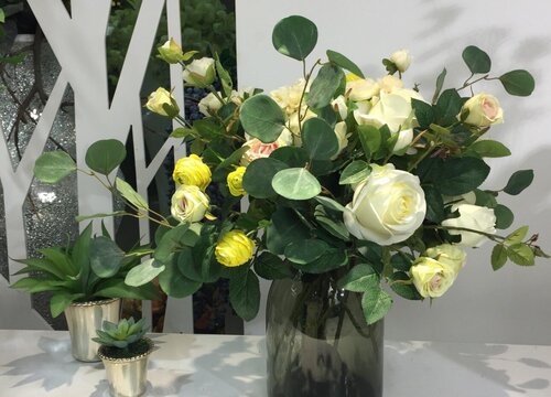 尤加利花语和寓意是什么意思