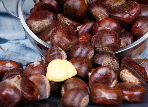 仓鼠可以吃板栗吗