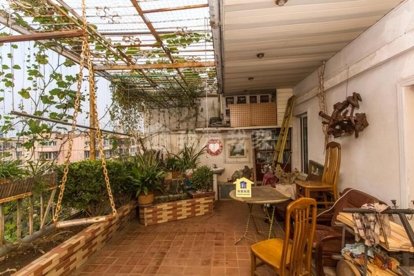 暴晒的阳台适合养什么花卉