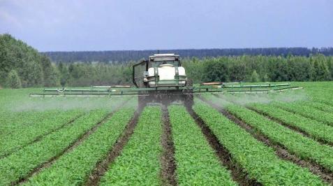 高钾肥料有哪些
