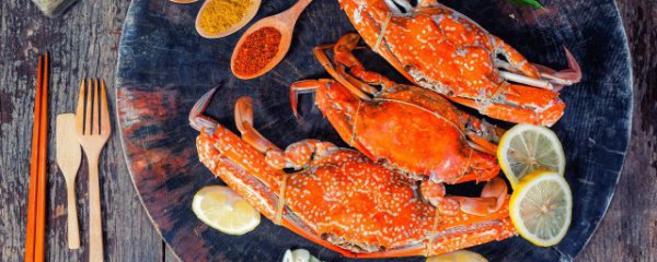 螃蟹都吃哪个部位