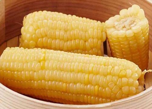 怎么辨别玉米是不是转基因