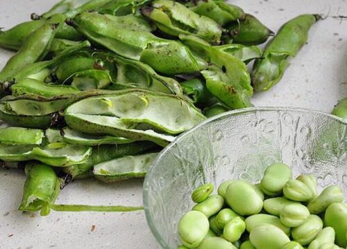 蚕豆皮可以做肥料吗