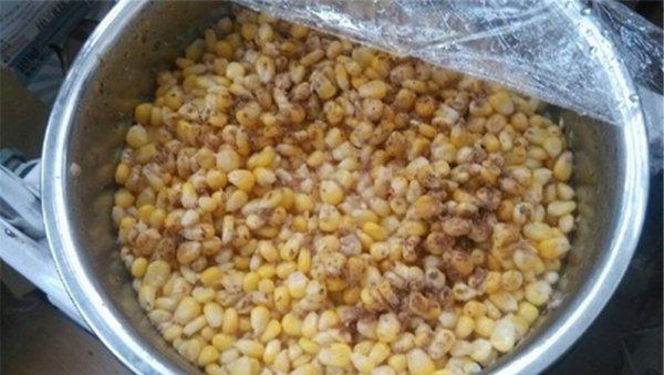 野钓玉米饵料制作方法及配方