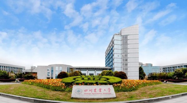 二本考研可以考哪些学校