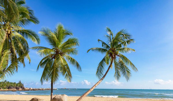 全国去海边旅游哪里好