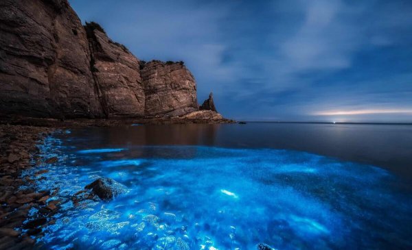 全国去海边旅游哪里好