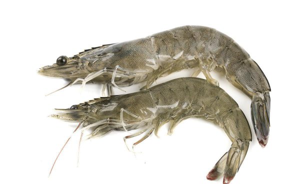 基围虾蒸多久最佳时间