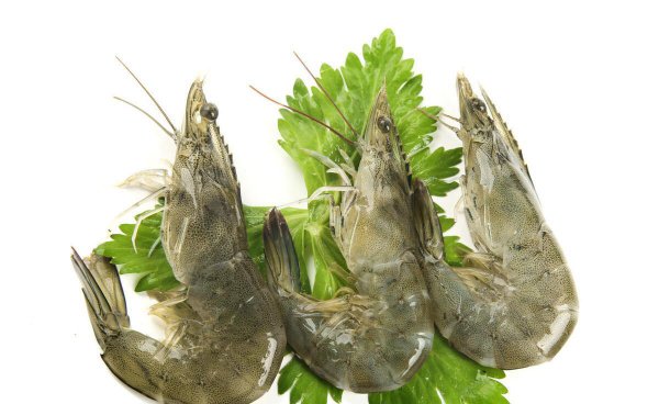 基围虾蒸多久最佳时间