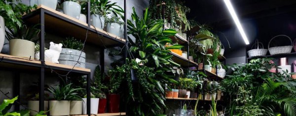 如何开一家花店市场营销