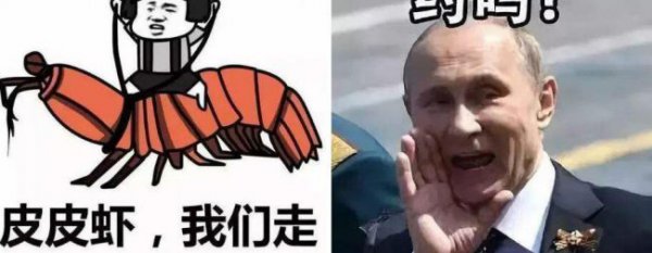 小龙虾都去看世界杯了！