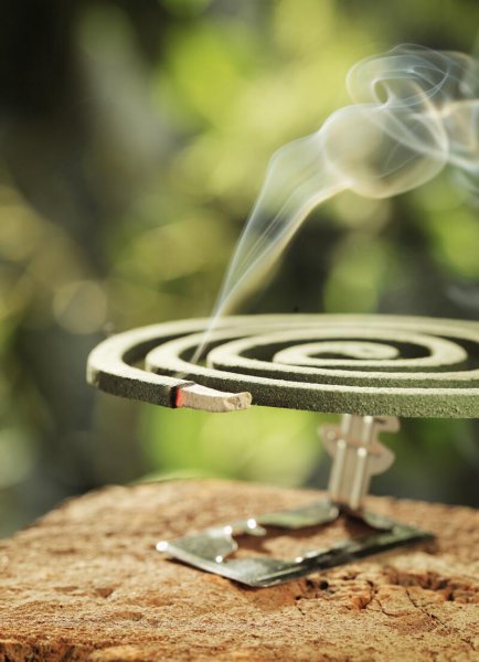 蚊香点多久能杀死蚊子