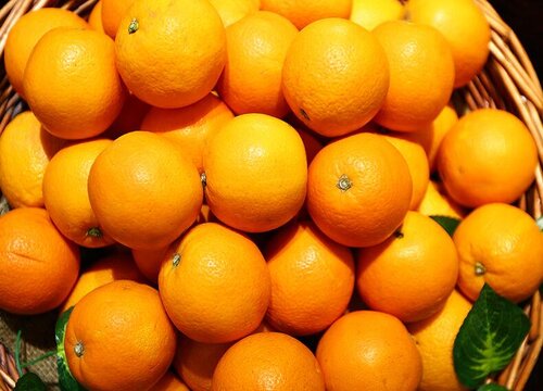 橙子属于低糖还是高糖水果