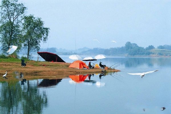 夜钓鱼为什么不开口