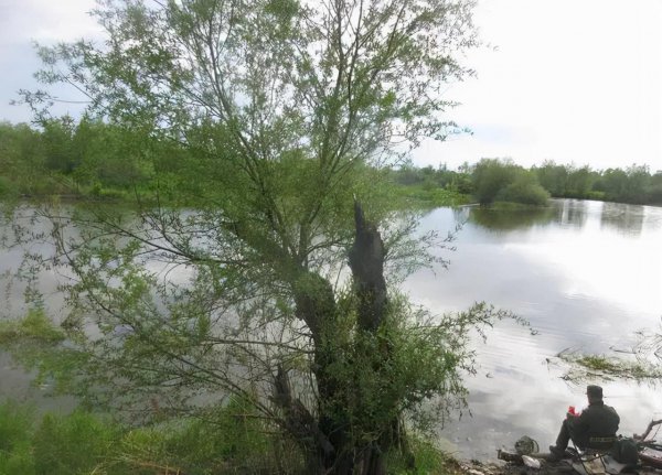 夜钓鱼为什么不开口