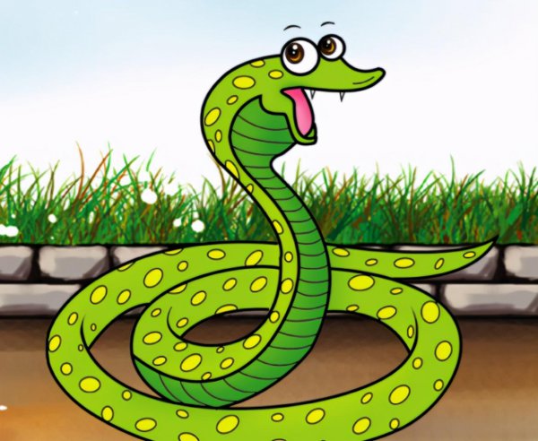 蛇怎么繁殖后代的