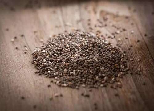 植物靠什么传播种子 有四大方法