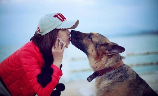 男不养猫女不养狗的说法