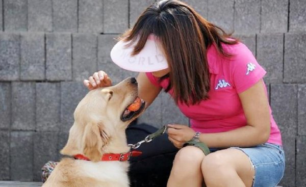 男不养猫女不养狗的说法