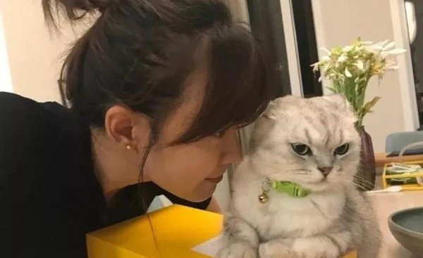男不养猫女不养狗的说法
