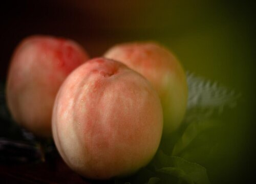 水蜜桃产地哪里最好最正宗