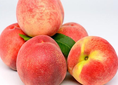 水蜜桃产地哪里最好最正宗