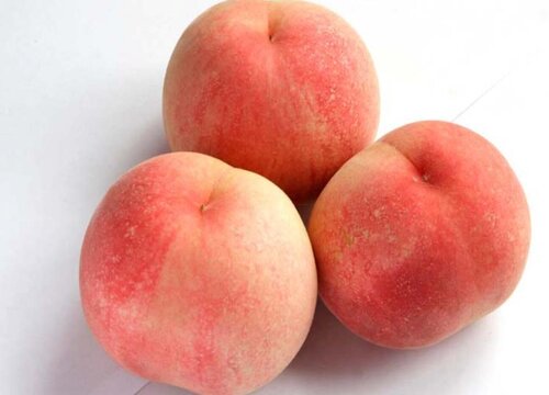 水蜜桃产地哪里最好最正宗