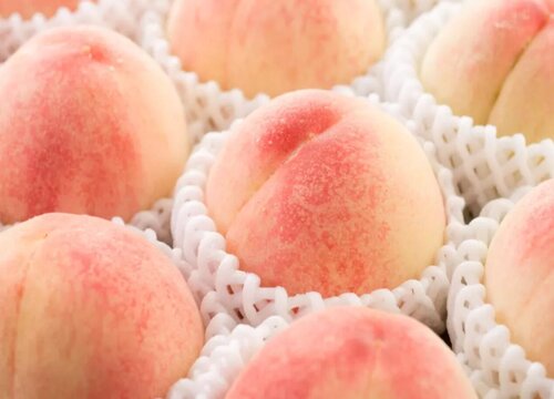 水蜜桃产地哪里最好最正宗