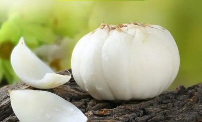 兰州特产有哪些可以带 十大兰州本地特产介绍