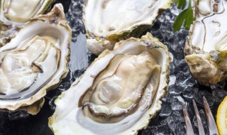 蚝吃多了会怎样 生蚝吃多了有什么影响