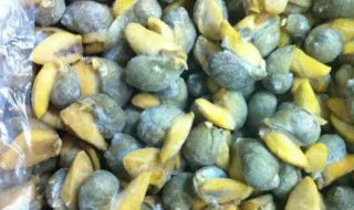 新鲜鲍鱼螺如何保鲜 新鲜鲍鱼螺怎么保鲜