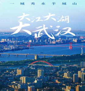 上海和武汉哪个面积大 上海和武汉究竟谁才是名副其实的大