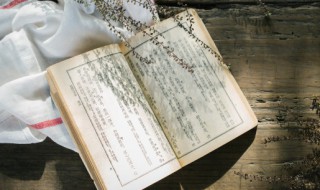 励志语录诗句 激励人励志的诗句有哪些