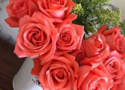 餐桌上放什么花风水好 餐桌上面摆什么花比较好?