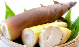 笋可以切完直接晒吗 竹笋的最佳晾晒方法