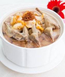 孕妇可以喝鸽子汤吗 孕妇鸽子汤的做法