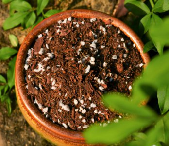 营养土可以直接种花吗 买来营养土怎么用才能使花不烂根