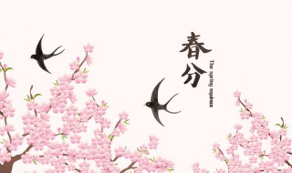 春分可以扫墓吗 2023年春分日可以扫墓吗