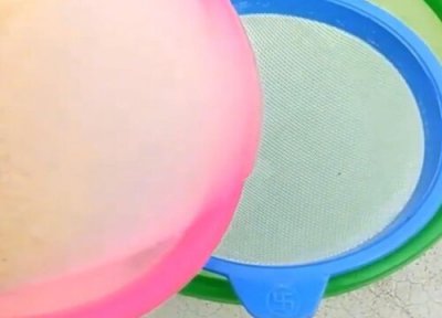 茶花开花期间怎么浇水 用什么浇灌茶花开花多又旺