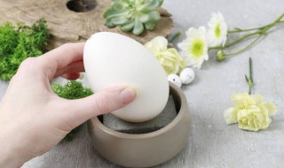 鹅蛋不能和什么同吃 鹅蛋不能和哪些东西同吃