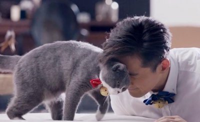 男不养猫女不养狗的说法 这个说法有科学依据吗