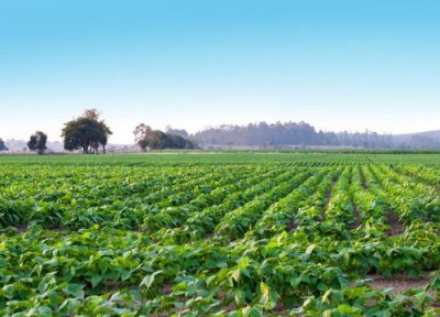 一垧地是多少亩地 东北一垧地等于多少亩土地