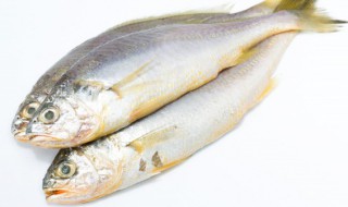 鱼跟香菇能不能一起吃 鱼跟香菇可以一起食用吗