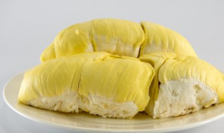 榴莲和猕猴桃原产地是哪 榴莲和猕猴桃哪里种植的多