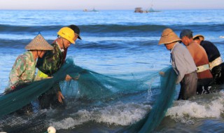 梦见老公打鱼是什么意思 梦见老公打鱼有什么预兆呢