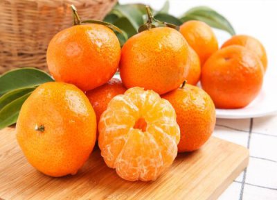 广西哪个县沙糖桔最多 广西什么地方沙糖桔最好最甜