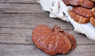 灵芝怎么晒干 灵芝晒干的方法介绍