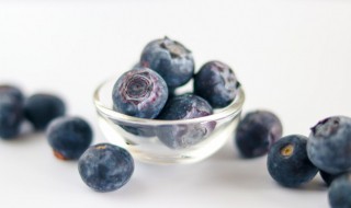 蓝莓适合什么季节播种 蓝莓怎么种