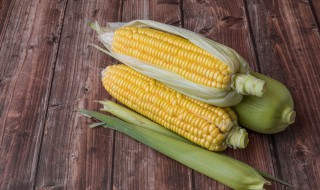 玉米长期保鲜方法 玉米如何长期保鲜的方法