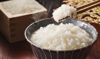 减肥期间能不能吃米饭 减肥的时候吃米饭好吗